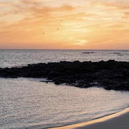 Paradise Island 라하레스