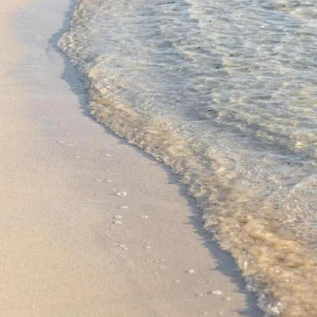 Paradise Island 라하레스