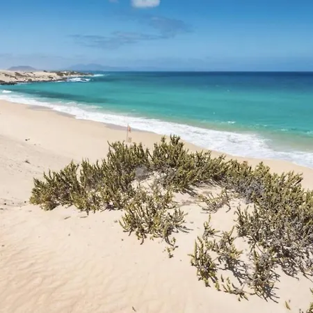 Paradise Island 라하레스